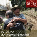 ホンジュラスロス・オコティージョス農園【500g】【田代珈琲】