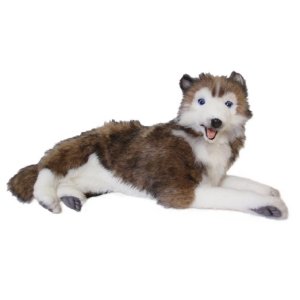 【HANSA】ぬいぐるみハスキー犬40cm