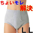 グンゼ ブリーフ 愛情らくらく HW6131 尿漏