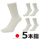 5本指ソックス メンズ 送料無料 日本製 5本指ソックス 5足組 送料無料 ホワイトカラー 靴下 5本指 セット 5本指 ソックス 綿100%(00909)