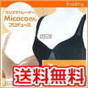 送料無料 インスパイリングブラ インスパイリングダイエットMicaco/テレビ通販/激売れ/5スリミングショーツ【送料無料】【P2倍】【02P03Dec16】