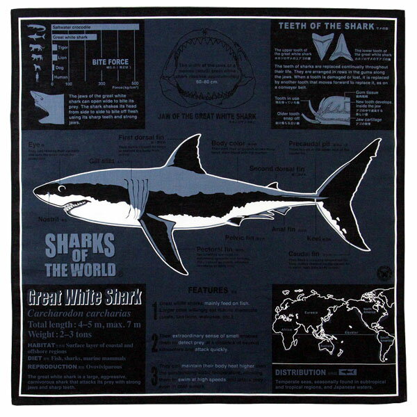 【サイエンス バンダナ ホホジロザメ ダークグレー 】動物 生物 魚類 サメ 鮫...:colorata:10000352