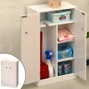 トイレ収納 サニタリーサイドボックス ( 送料無料 トイレ 棚 トイレ収納 トイレ用品 収納 ラック トイレラック サニタリーボックス ) 【4500円以上送料無料】
