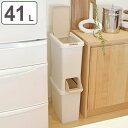 ゴミ箱 分別 二段 ダストボックスファイン スリム 41L ( ごみ箱 ダストボックス ダストBOX くず入れ くずカゴ 隙間 省スペース )【4500円以上送料無料】