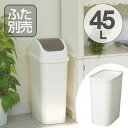 ゴミ箱 ダストボックス レコロ 本体 45L ( ごみ箱 くず入れ トラッシュボックス リビング キッチン トラッシュ ペール シンプル トラッシュカン トラッシュボックス 45リットル ) 【4500円以上送料無料】