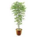 人工観葉植物 ピュアメイト ぶなの木 150cm 送料無料( 光触媒 消臭 インテリア 大型 ) 【3980円以上送料無料】