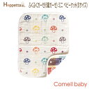 フィセル ディモワ Hoppetta champignon ...