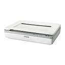 エプソン DS-50000 A3フラットベッドスキャナー 目安在庫=△