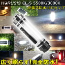 LEDライト 懐中電灯 ハンディライト 完全防水 防水 充電式【HORUSIS CHARGE LAMP】ホルシス チャージランプ【CL-S】白色光/暖色光【最大100LM 防塵防水IP68 明るさ2段階 赤色灯 充電器】LEDランタン 作業灯 LEDランプ アウトドア 釣り 登山 防災 災害用 撮影用 ライト