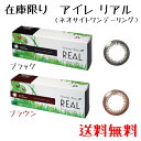 【在庫限り】 ワンデーアイレリアル ( ネオサイトワンデーリング ) 30枚入り 【Brownのみ】