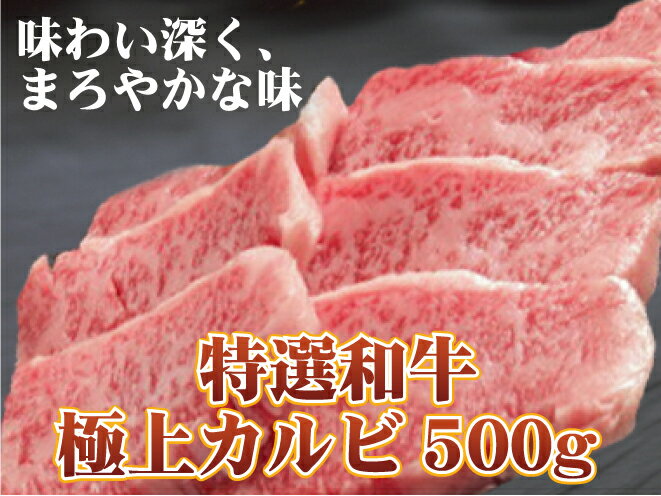 ѡµ˾奫500g