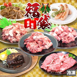 送料無料 4129円 スペシャル 福袋 牛肉 豚肉 <strong>ステーキ</strong> ハンバーグ ソーセージ <strong>お中元</strong> お歳暮 贈答 ギフト バーベキュー BBQ お取り寄せ グルメ 冷凍