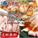 【送料無料】豚カルビ・豚トロ・生姜焼き!常陸ポーク焼肉セット【smtb-T】【あす楽対応_関東】【あす楽対応_甲信越】【あす楽対応_北陸】【あす楽対応_東海】【あす楽対応_近畿】【4129】【訳あり】【業務用】【焼肉セット】