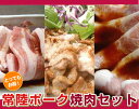 豚カルビ・豚トロ・生姜焼き!常陸ポーク焼肉セット【smtb-T】【あす楽対応_関東】【あす楽対応_甲信越】【あす楽対応_北陸】【あす楽対応_東海】【あす楽対応_近畿】【4129】【訳あり】【業務用】【焼肉セット】【楽ギフ_のし】【10P01Feb14】