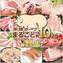 〓9999円〓常陸ポーク豚まるごとオールスター約10kg☆【4129】【訳あり】【業務用】【焼肉セット】【10P03Dec16】
