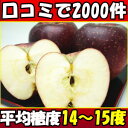 限定100ケース!糖度14〜15度!長野 原田農園 秋映(あきばえ) りんご 3kg 8〜12玉 家庭用【訳あり りんご】【りんご 訳あり】【りんご 長野】【リンゴ】【りんご 送料無料】【リンゴ 訳あり】【あきばえ】【秋映 送料無料】【秋映 訳あり】【信州 りんご】