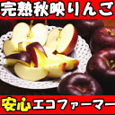 長野丸茂農園 完熟秋映りんご5kg 12〜23玉家庭用 りんご 品種 りんご 長野 リンゴ りんご 送料無料 あきばえ 秋映 送料無料 秋映りんご りんご秋映 信州 りんご