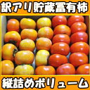 柿 訳あり 柿の王様 貯蔵 冨有柿 Sサ...