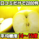 【送料無料】長野産 シナノゴールド 5kg 16?18玉 贈答 中玉【りんご 5kg】【贈答品 送料無料】【りんご 長野】【リンゴ】【りんご 送料無料】【シナノゴールド りんご 】【 シナノゴールド 送料無料】【シナノゴールド 贈答用】【長野 シナノゴールド】【信州 りんご】