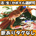 活(生)かボイル選択可!【送料無料】鳥取産 訳あり 活 松葉...