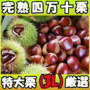 高知西土佐産四万十栗1kg3Lサイズ (...