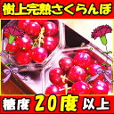 糖度20度以上!母の日ギフト!高級スーパーが惚れ込む味と品質!山形樹上完熟さくらんぼ 佐藤錦 ダイヤパック100g×2P 【さくらんぼ 佐藤錦 母の日】【さくらんぼ 佐藤錦】【さくらんぼ ギフト】【さくらんぼ 母の日】【楽ギフ_メッセ】