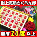 通常ギフト&遅れてごめん父の日!糖度20度以上! 高級スーパーが惚れ込む味と品質!山形産 畑の宝箱(樹上完熟さくらんぼ佐藤錦24粒)LL?L(大)【さくらんぼ 佐藤錦 父の日】【さくらんぼ 佐藤錦】【さくらんぼ 父の日】【さくらんぼ ギフト】【楽ギフ_メッセ】
