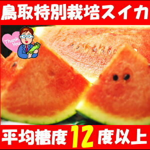 平均糖度12度以上！鳥取県 徳山農園 特別栽培スイ