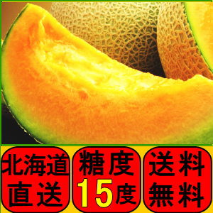 一度食べると忘れられない味 北海道 富良野 工藤農園　富良野メロン 1.6kg(贈答用）