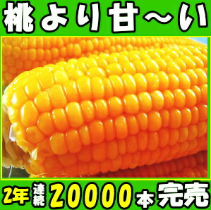 最高糖度20度以上！桃より甘くて美味！長野信濃町　県外不出のとうもろこし(品種めぐみ） 2Lサイズ10本セット（3.5〜4.5kg以上）トウモロコシ とうもろこし 送料無料 とうもろこし とうもろこし 生