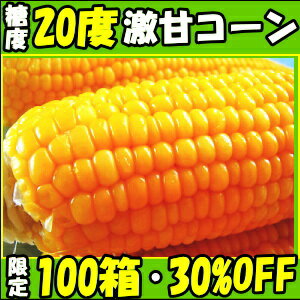 限定100箱 糖度20度以上！桃より甘くて美味！長野信濃町　県外不出のトウモロコシ(品種めぐみ） ビックなLLサイズ10本セット（3.8〜4.5kg以上）信州一おいしいと評判！長野信濃町から朝どり当日出荷で大消費地に翌日お届け可！