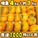 柿 訳あり 柿の王様 冨有柿 奈良 西吉野 柳澤果樹園 4k...
