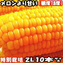 とうもろこし 送料無料 北海道 メロンよ...