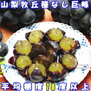 ぶどう 山梨 巨峰 種無し 送料無料 糖度18度以上 山梨 ...
