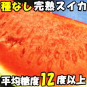 種なし スイカ 特別栽培準拠 糖度12度以上 完熟 種なしスイカ 大玉 鳥取 徳山農園 2Lサイズ 1玉