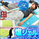 【送料無料】【H】 東京西川 2013新作 ひんやりクールタッチ リバーシブル NEW塩ジェル冷却マット アルミ涼感プラス 90x90cm (シングルハーフ) 【東京西川A】【RCP】