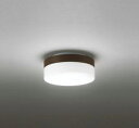 【最安値挑戦中!最大25倍】シーリングライト オーデリック OL251224 LED 昼白色