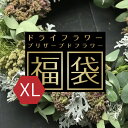 福袋 ドライフラワー プリザーブドフラワー リース 選べるH...