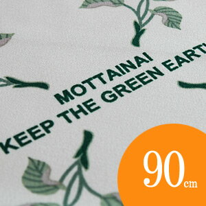 ռޤ뼫ݸ򾧤ǥ(»ߡ饾)Ϥ(դ)MOTTAINAI꡼󥢡ڳڥ_