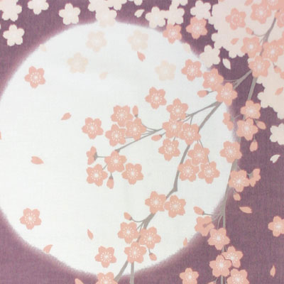 四季彩布てぬぐい　月と桜 　四月【メール便可】