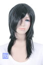 【SALE価格】コスプレウィッグ ウルフレイヤー【レイヴンブラック】【ウィッグネット