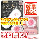 ●数量限定 ブラシ付き piera 4D biga