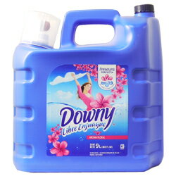 【在庫処分大特価】ダウニー Downy メキシコダウニー　(9L)　9000mL　[柔軟剤 液体柔軟剤]　P＆G