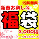 新春　お楽しみ　福袋　3,000円　　≪数量限定！お一人様1点限り≫