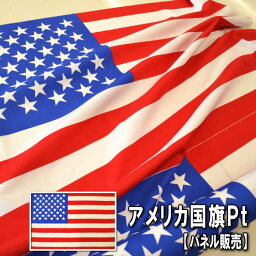 ワンコイン（税込み100円）フェア！ 75cmパネル単位 切売り【生地　布】アメリカ国旗Pt【75cmパネル販売】　綿100％　110cm幅