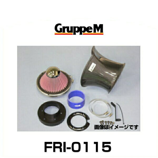 GruppeM グループエム FRI-0115 RAM AIR SYSTEM ラムエアシステム BMW用