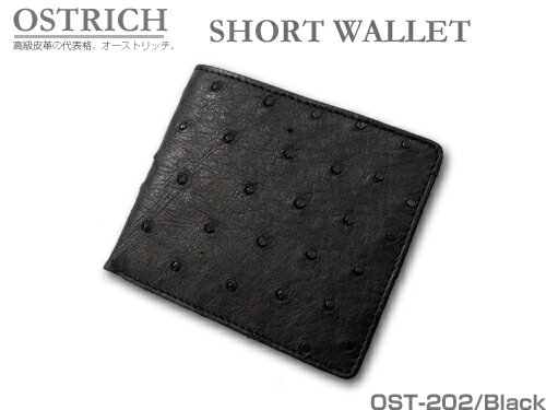 yzv̑\iI[Xgb`BI[Xgb`@OSTRICH ܂z yΉFkA֓AbMzAkACAߋEAAlAB^1..