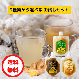 【初めての方限定】【お一人様2セットまで】生姜シロップ 80ml × 2 送料無料 国産 無添加 ジンジャーシロップ お試し 選べる シロップ 辛口 <strong>ジンジャーエール</strong> 生姜湯 ゆず湯 温活 買い回り ポイント消化 メール便 ポスト投函