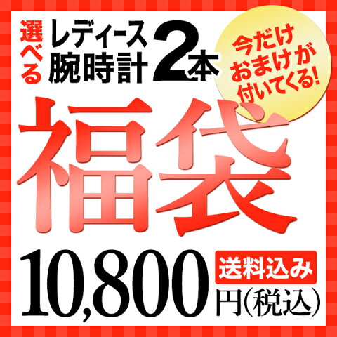 【腕時計2本+おまけ】選べる福袋 レディース用腕時計WatchStation Crash限定 [送料込み]