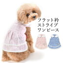 CRAZYBOO / クレイジーブーフラット衿ストライプワンピースXS / S / M / Lサイズ犬服 / 犬の服/ ドッグウェア春夏コレクション